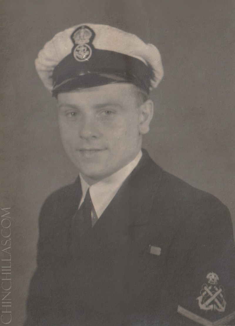 violet chinchilla origin africa gillingham sullivan british warship WW2